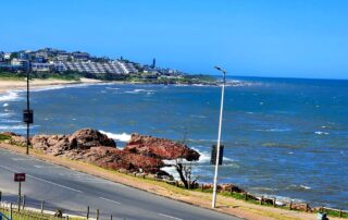 Beach view – Dolphin View 203