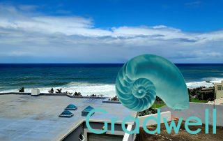 View Wide – St Daniel 4