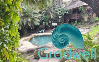 Pool angle 2 – Sunny Rock