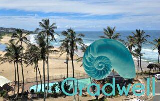 View – Seabrook 403