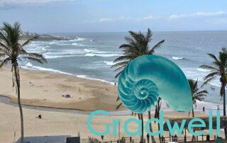 View x2 zoom – Seabrook 405