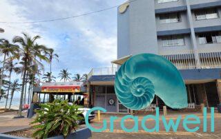 Back Building – Seabrook