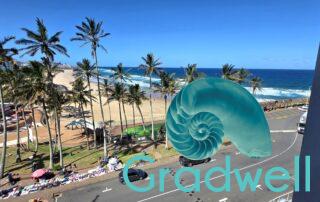 View 2nd bedroom – Seabrook 402
