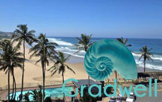 View – Seabrook 404