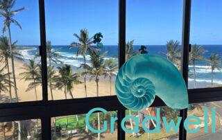 View from main – Seabrook 402