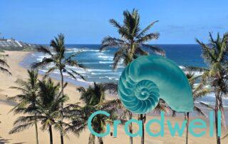 View left – Seabrook 402