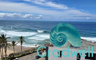 View ocean x2 zoom – Seabrook 701