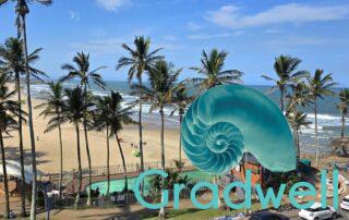 View left – Seabrook 302