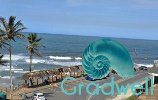 View right – Seabrook 302